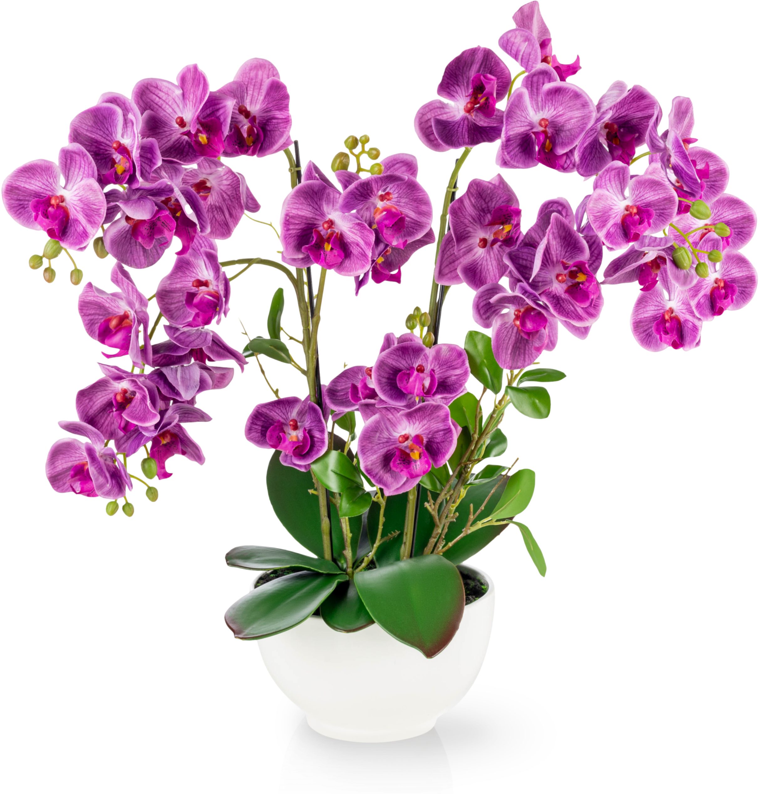 Kunstorchidee PASCH® XXL Orchidee künstlich wie echt (56cm) in Hochglanz-Keramiktopf Orchidee, PASCH