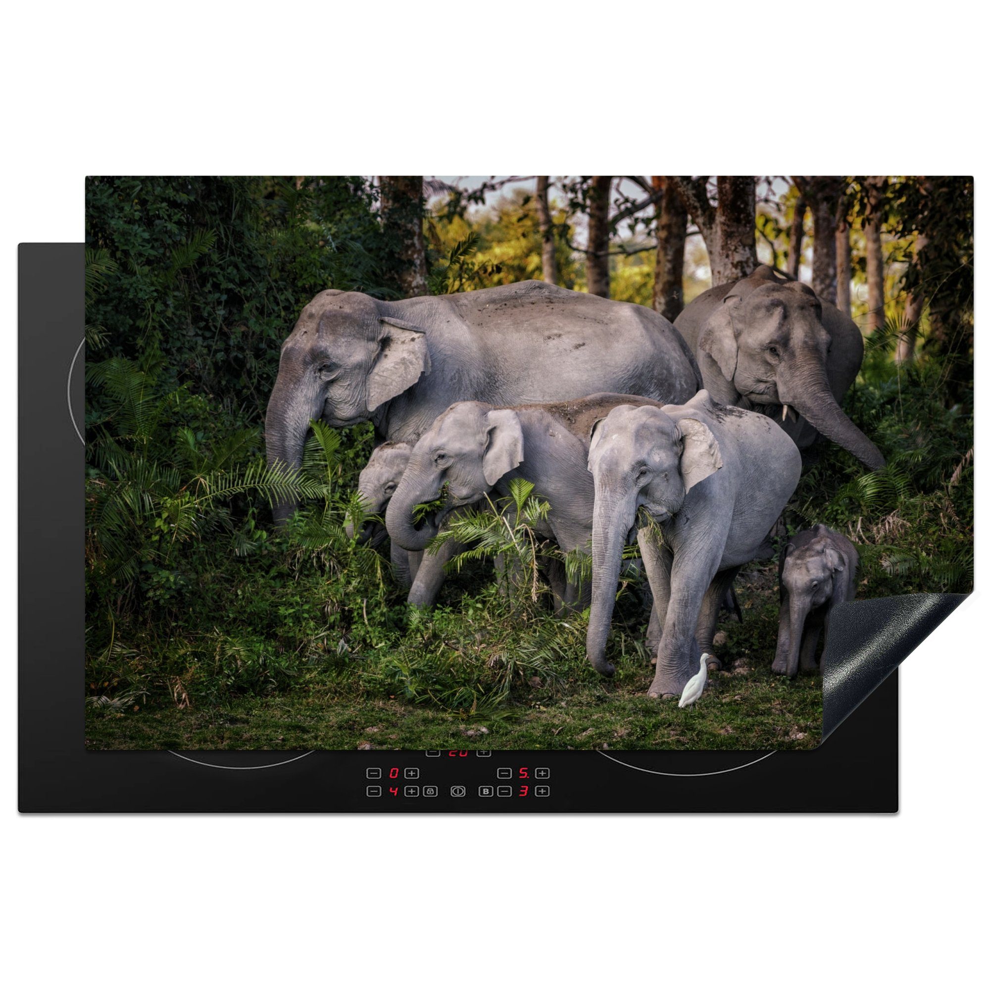 - die Elefant 81x52 Induktionskochfeld (1 MuchoWow küche, Vinyl, - für Blätter cm, Herdblende-/Abdeckplatte Schutz Ceranfeldabdeckung tlg), Wald,