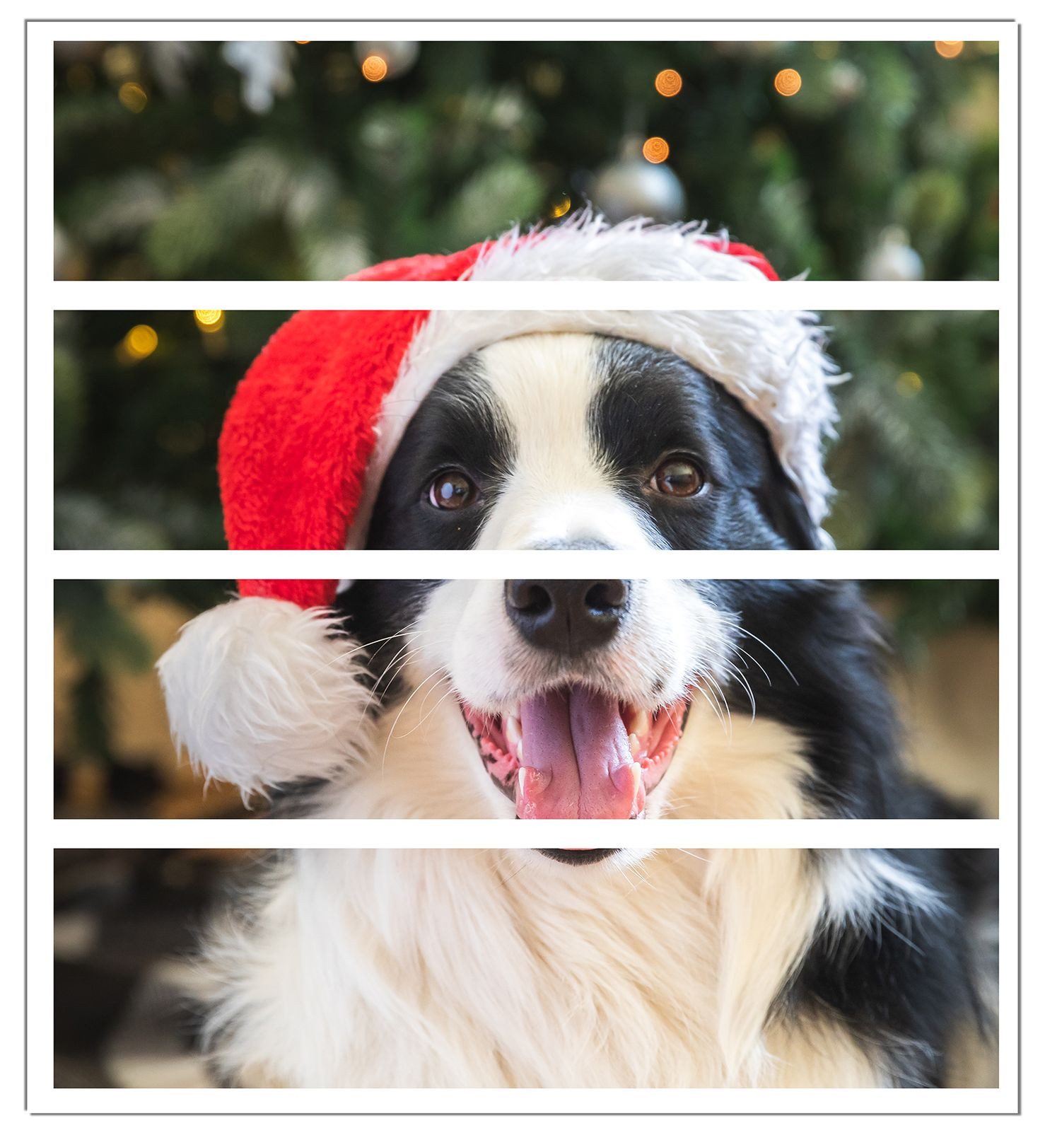 Wallario Möbelfolie Weihnachtsfreude auf vier Pfoten