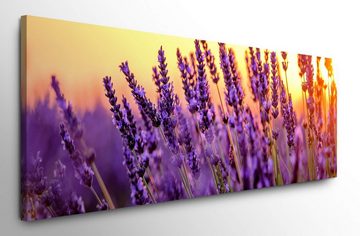möbel-direkt.de Leinwandbild Bilder XXL Lavendelstengel Wandbild auf Leinwand