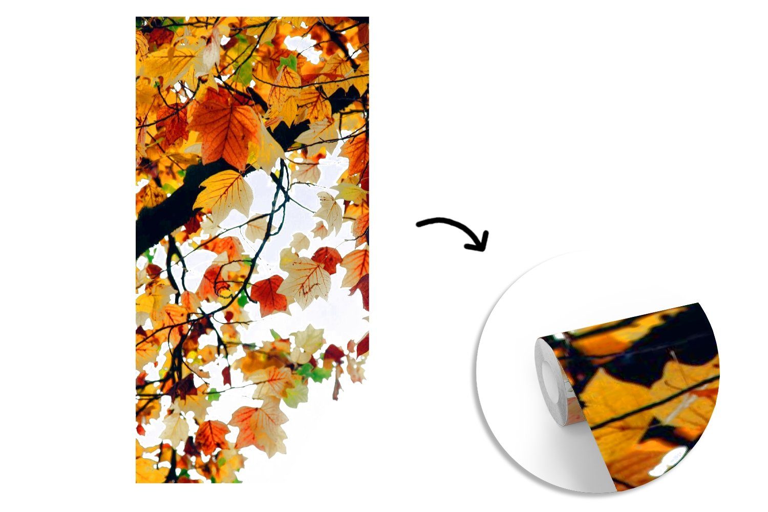 MuchoWow Fototapete Bäume - Herbstblätter für Natur, - St), Fototapete Küche, Vliestapete Matt, Wohnzimmer (2 bedruckt, Schlafzimmer