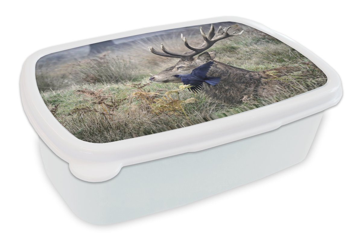 Lunchbox MuchoWow - (2-tlg), Hirsch Kinder Kunststoff, und Brotdose, - und Wald, für weiß Vogel Erwachsene, Jungs Mädchen für Brotbox