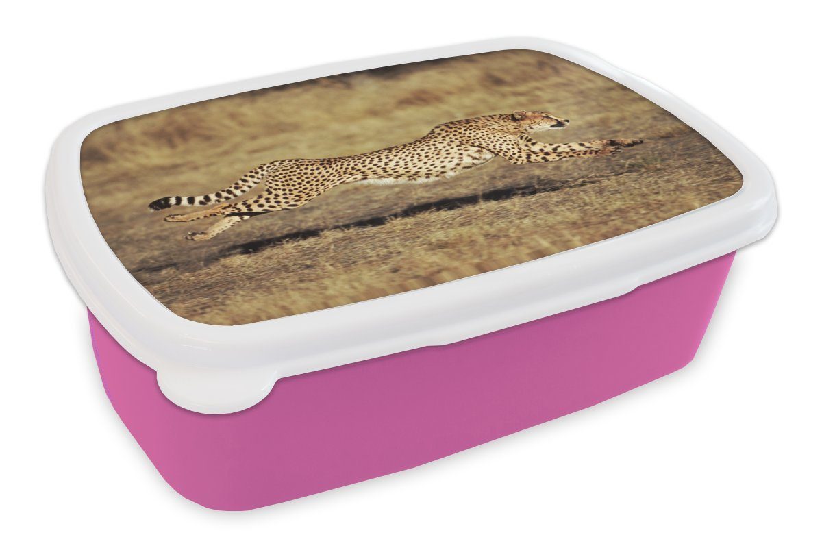 MuchoWow Lunchbox Vorderansicht eines weiblichen Geparden, Kunststoff, (2-tlg), Brotbox für Erwachsene, Brotdose Kinder, Snackbox, Mädchen, Kunststoff rosa