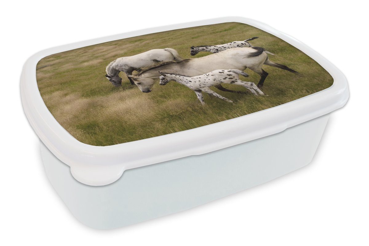 MuchoWow Lunchbox Pferde - Fohlen - Tiere, Kunststoff, (2-tlg), Brotbox für Kinder und Erwachsene, Brotdose, für Jungs und Mädchen weiß