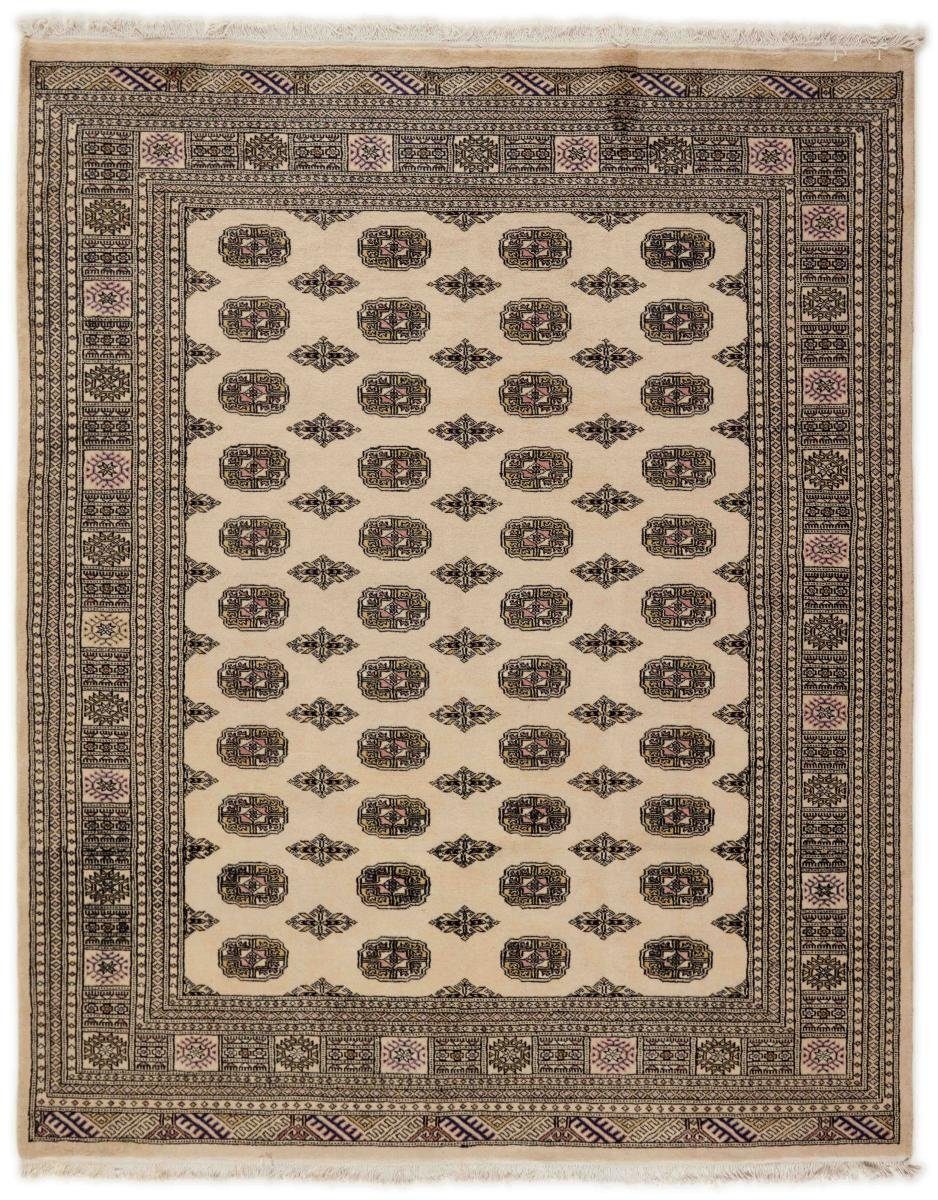 Orientteppich Pakistan mm Höhe: 8 2ply Handgeknüpfter Buchara rechteckig, Trading, Nain Orientteppich, 201x250