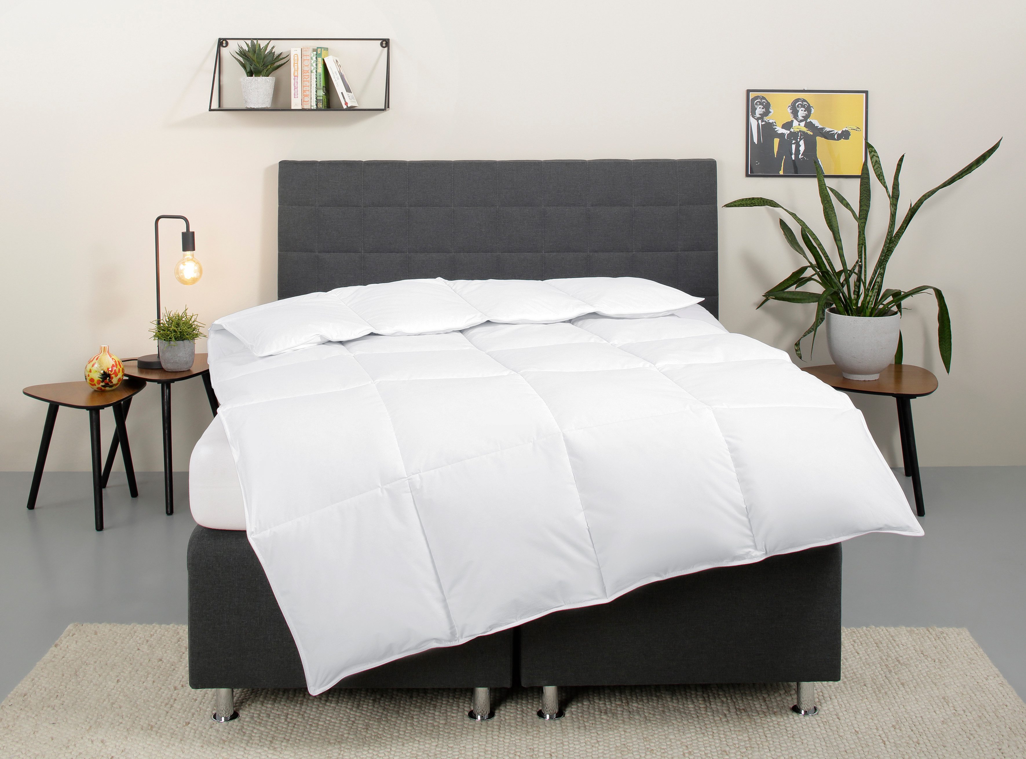OTTO home Daunenbettdecke Cyra, Bettdecke 135x200 cm, 155x220 cm, Füllung: 70% Daunen und 30% Federn, Bezug: Baumwolle, wo besonders auf …