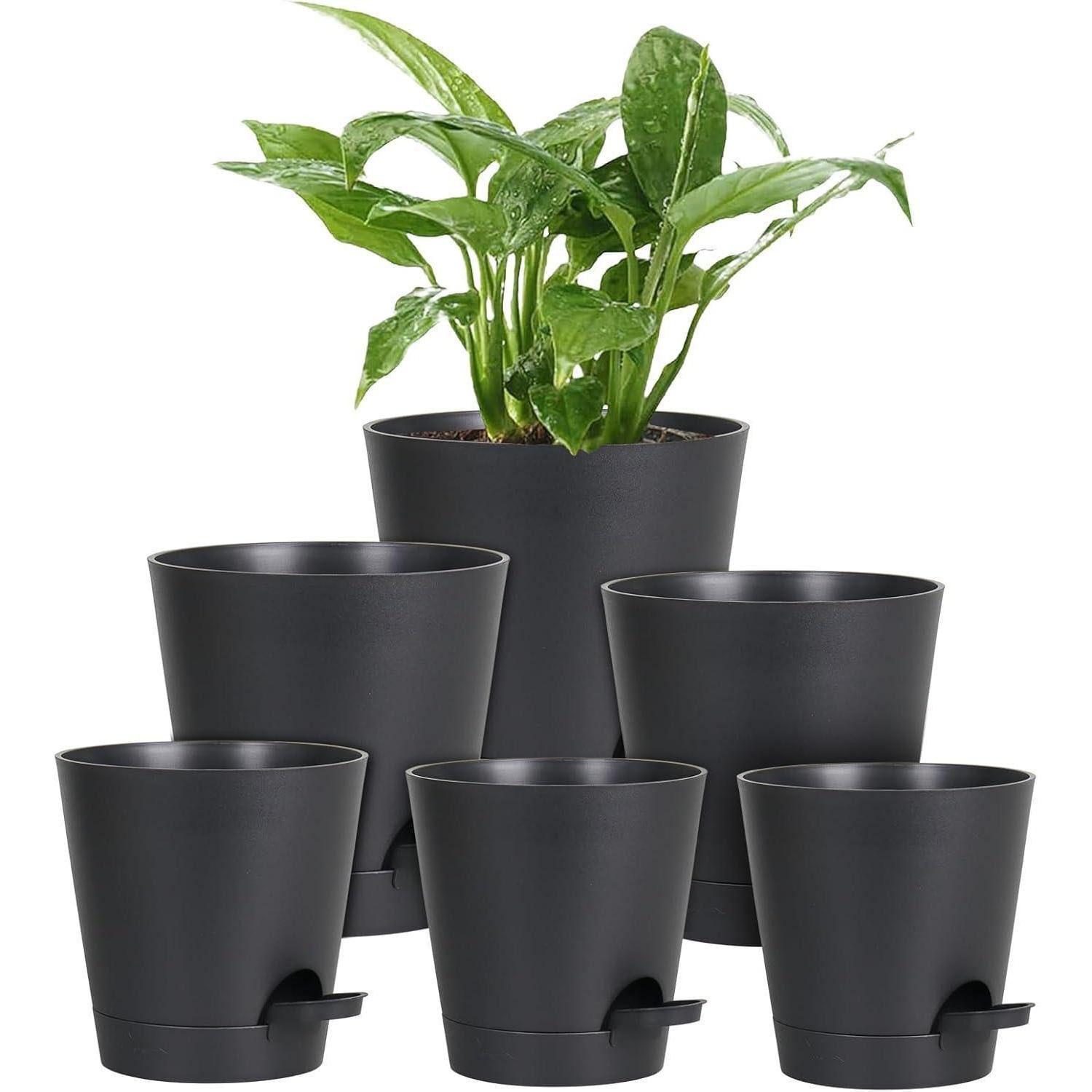 blumenkasten schmal Schmaler Balkonkasten Beton anthrazit Blumenkasten: L 80 cm x B 18 cm x H 18 cm | L 80 cm x B 18 cm x H 18 cm Anzahl Behälter:2er Set
