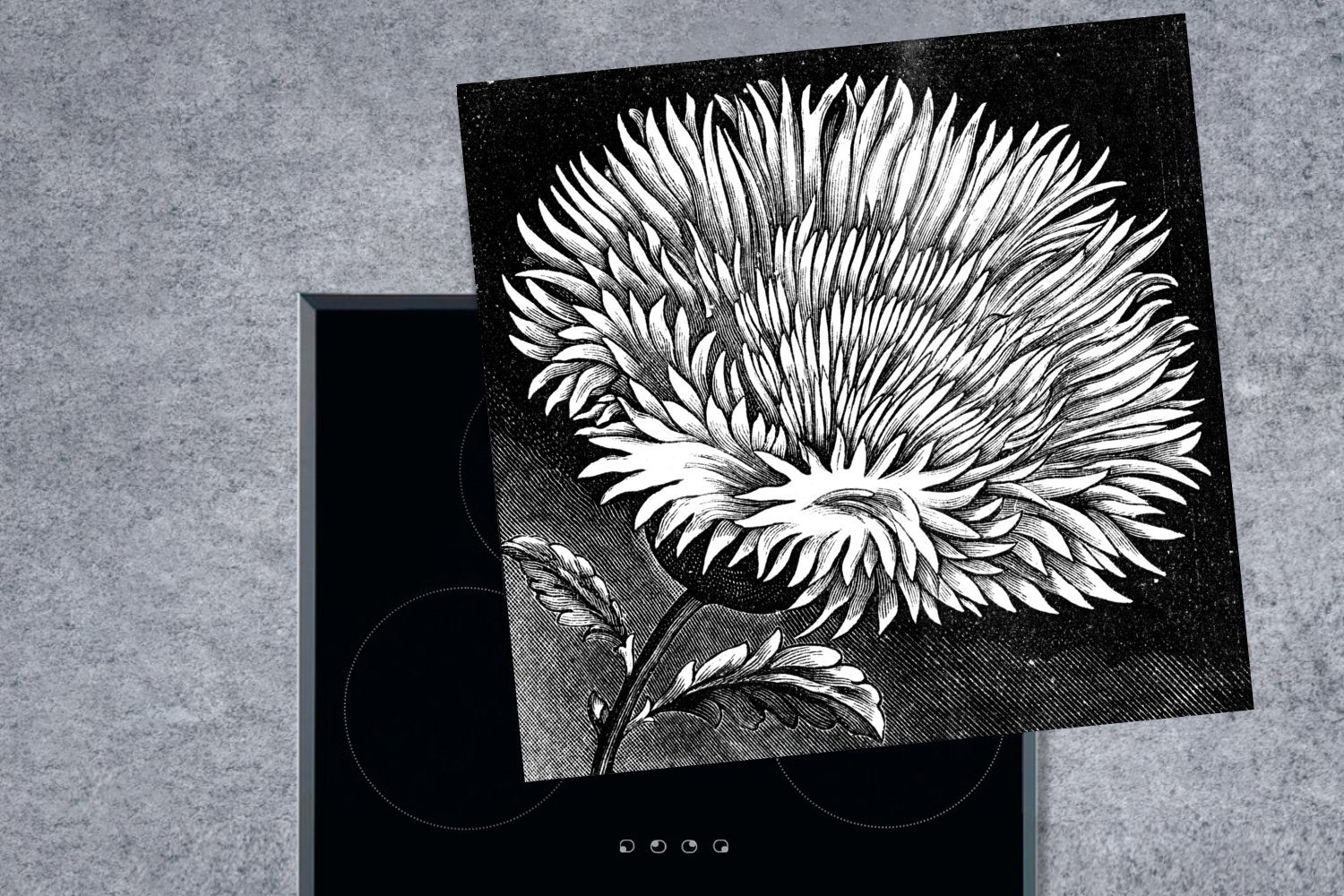 Kornblume Eine (1 Illustration Weiß, und Arbeitsplatte MuchoWow Herdblende-/Abdeckplatte tlg), küche in einer Vinyl, 78x78 Ceranfeldabdeckung, cm, für Schwarz