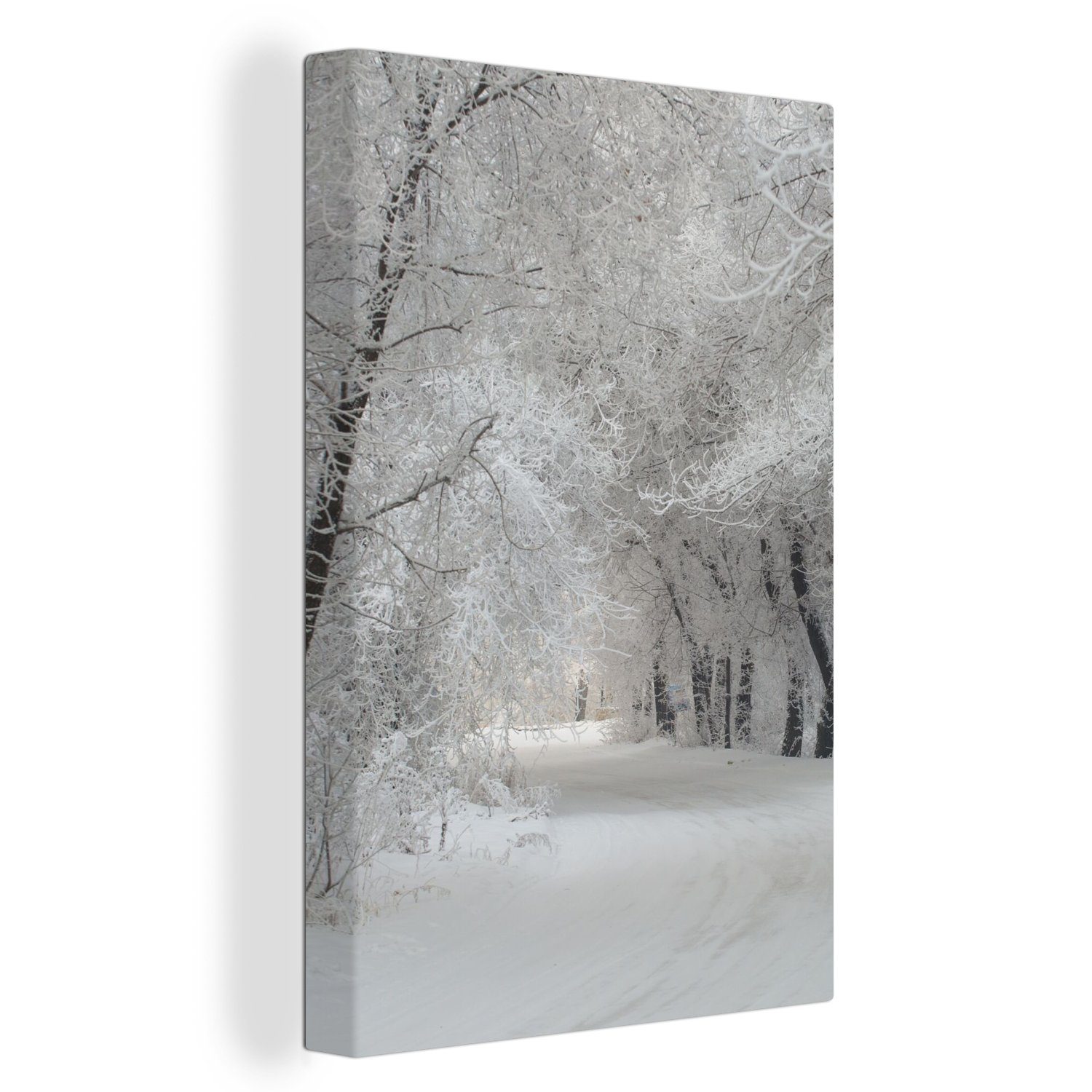 OneMillionCanvasses® Leinwandbild Bäume - Schnee - Winter, Fotodruck (1 St) günstig online kaufen