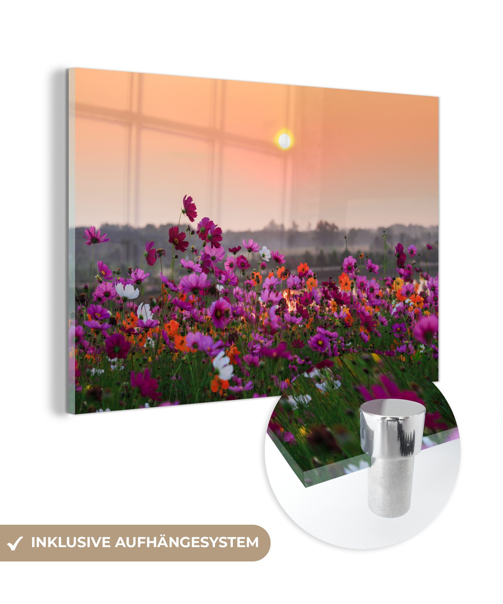 MuchoWow Acrylglasbild Blumen - Herbst - Sonne, (1 St), Acrylglasbilder Wohnzimmer & Schlafzimmer