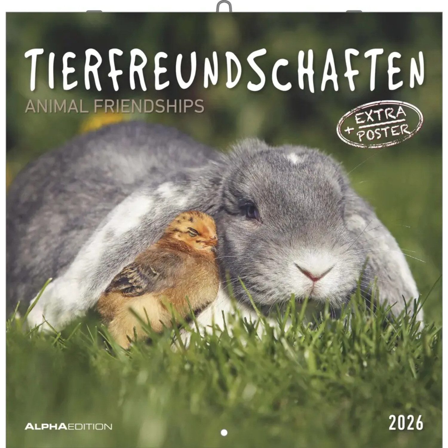 Alpha Edition Wandkalender Alpha Edition - Tierfreundschaften 2026 - Broschürenkalender 30×30...