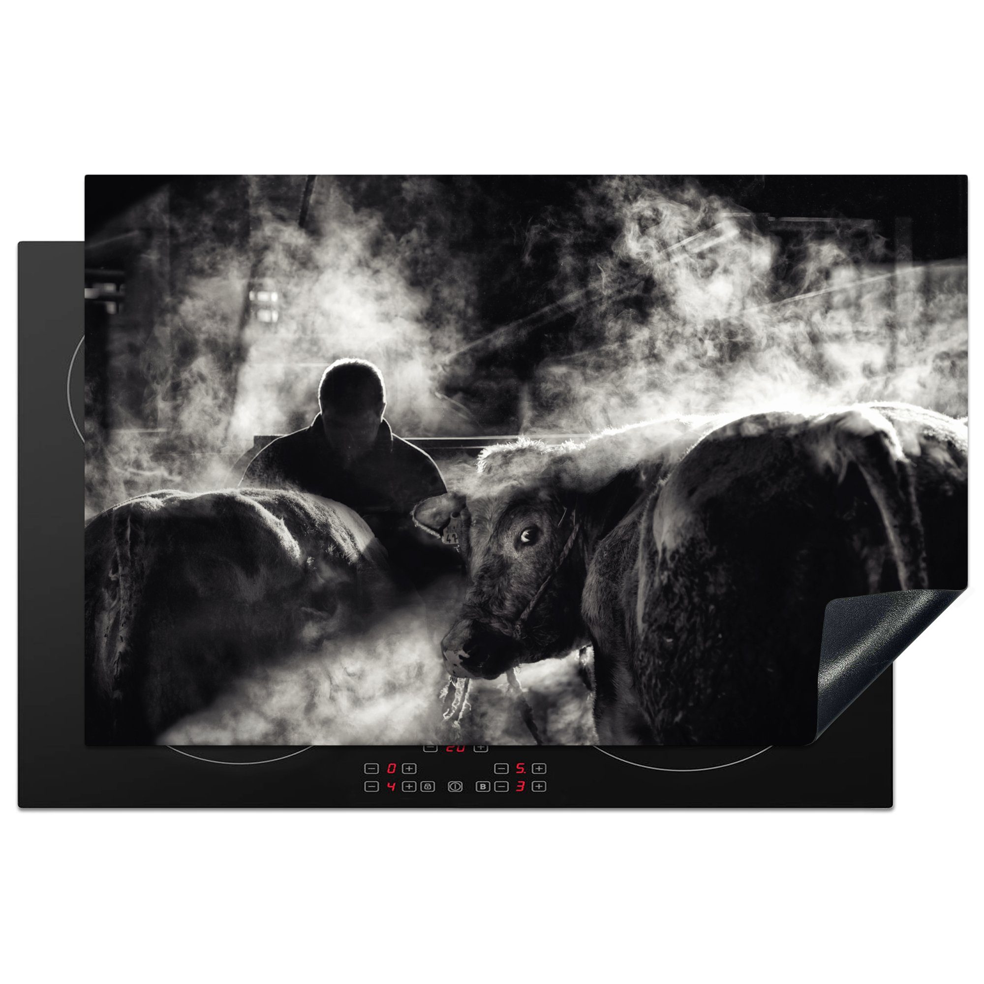 MuchoWow Herdblende-/Abdeckplatte Kühe - Rauch - Schwarz - Weiß, Vinyl, (1 tlg), 81x52 cm, Induktionskochfeld Schutz für die küche, Ceranfeldabdeckung