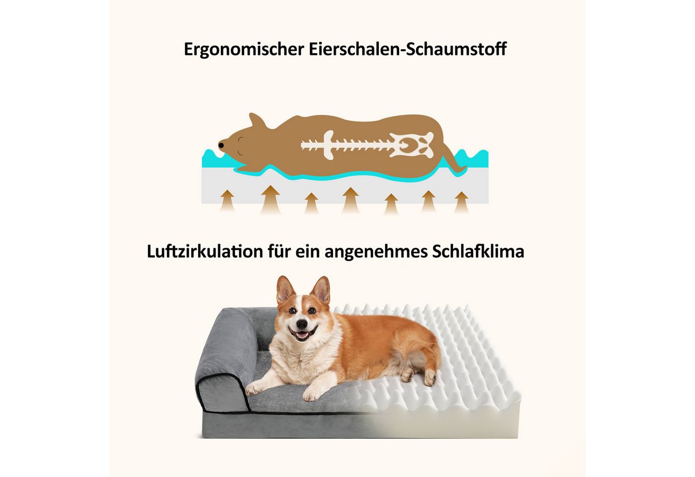 Thumbnail - OUNUO Tierbett Hundebett Hundesofa Hundecouch mit eierförmiger Kistenschaum waschbar