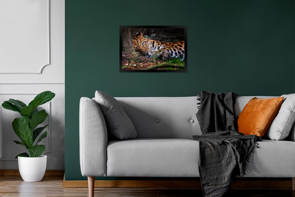 St), Panther Dschungel, (1 - Poster, Baum MuchoWow Poster Schwarzem Bilderrahmen Wanddeko, Bilder, - Gerahmtes Wandposter,