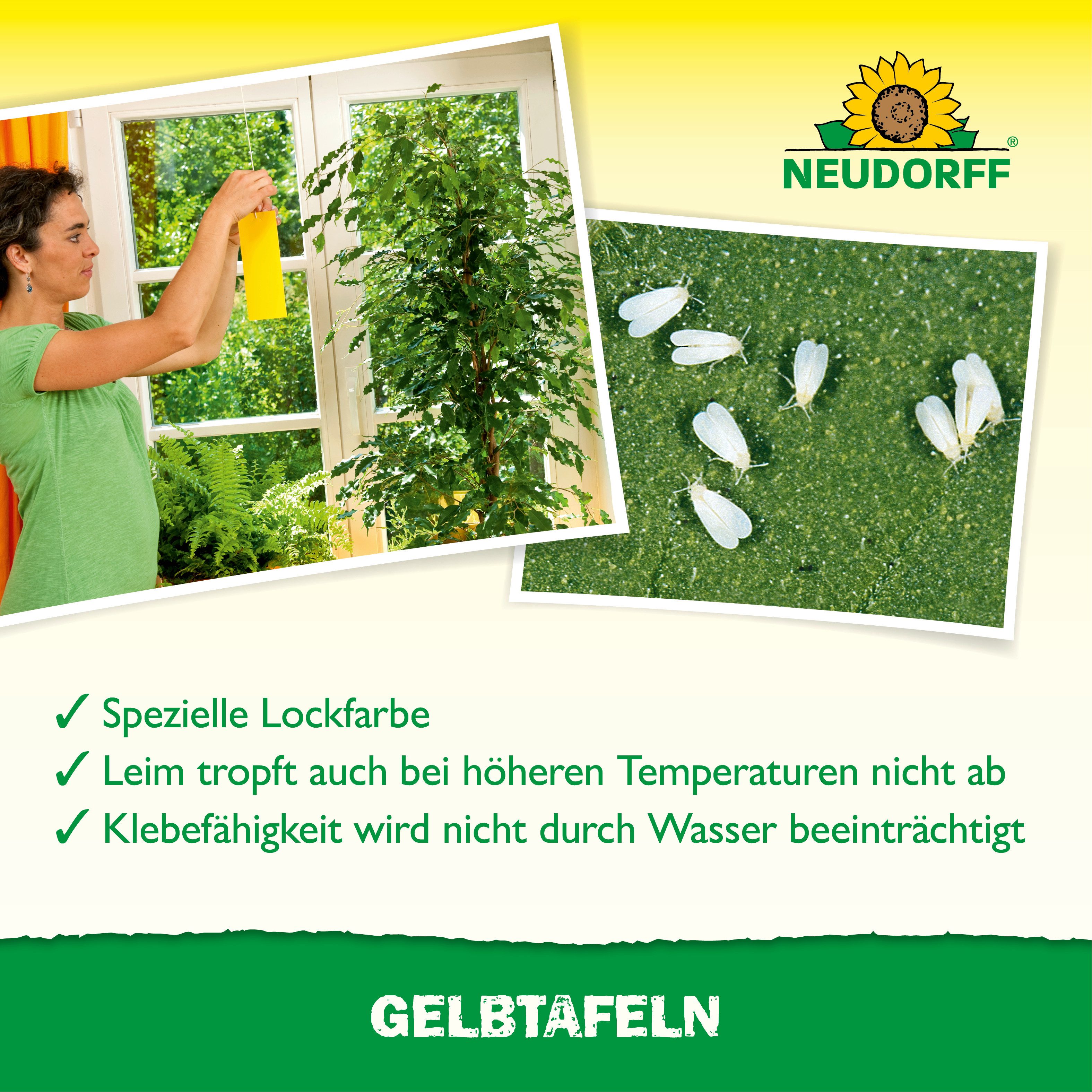 Neudorff Klebefalle Gelbtafeln (kleinformatig) 21 Stück, 21 beidseitig beleimte Gelbtafeln gegen fliegende Schädlinge – Bild 5 von 5