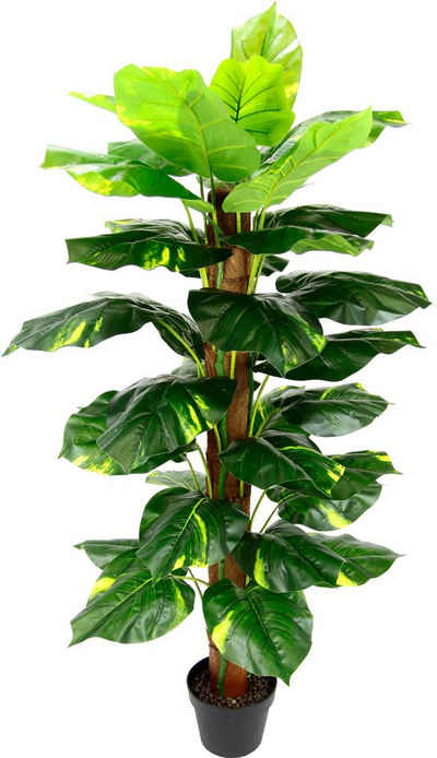 Kunstpflanze Pothospflanze, I.GE.A., Höhe 120 cm