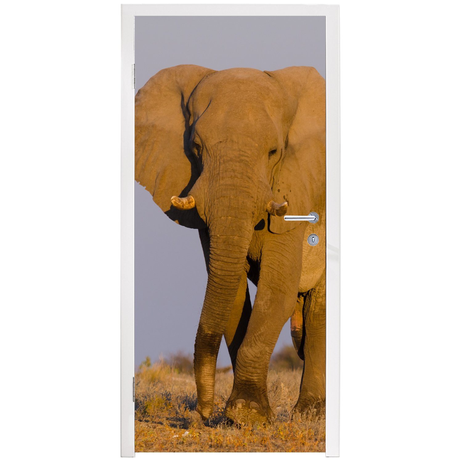 MuchoWow Türtapete Afrikanischer Elefant (1 Türaufkleber, im Tür, cm Fototapete bedruckt, für Matt, Sand, 75x205 St)