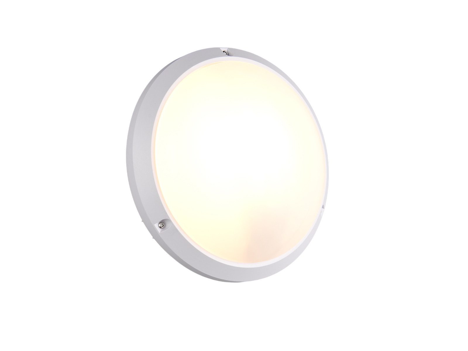 Reality Leuchten LED Außen-Wandleuchte stoßfest & wetterfest IP65, Ø 27cm, LED wechselbar, warmweiß, Fassadenbeleuchtung Außenbeleuchtung Hauswand dimmbares Leuchtmittel