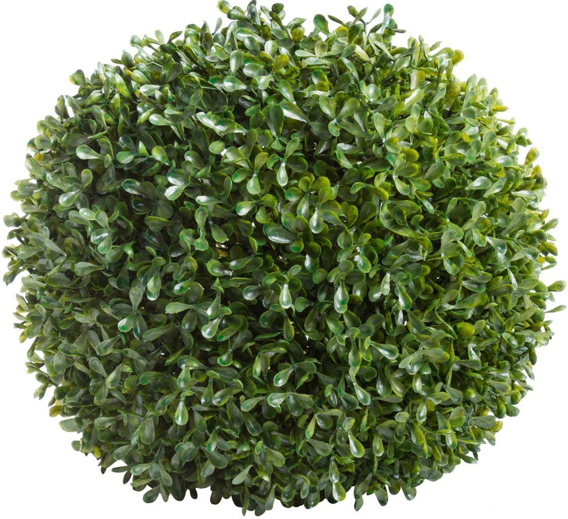 Kunstbaum Buchskugel Buchs, Botanic-Haus, Höhe 28 günstig online kaufen