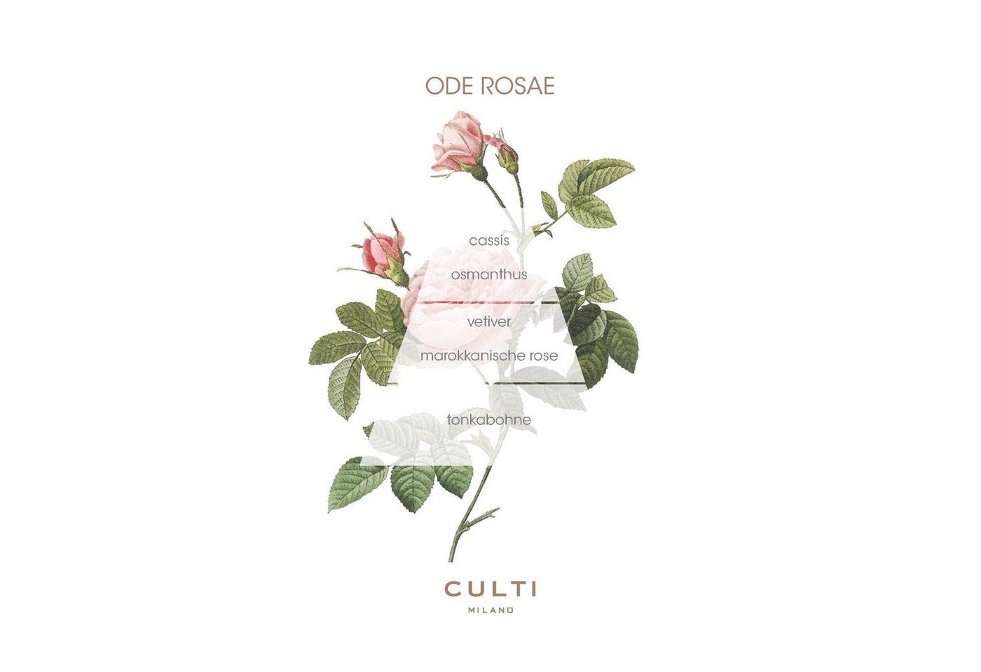 Thumbnail - Culti Milano Raumduft Stile Ode Rosae 500 ml