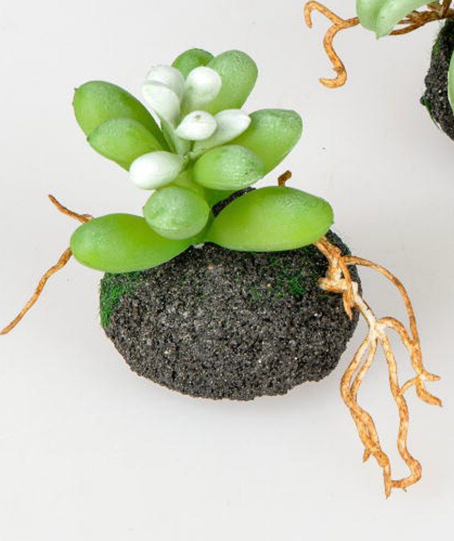 Kunstblume formano trendiger Dekokaktus auf Erdsockel, 8 cm Kunstpflanze, formano, Höhe 16 cm
