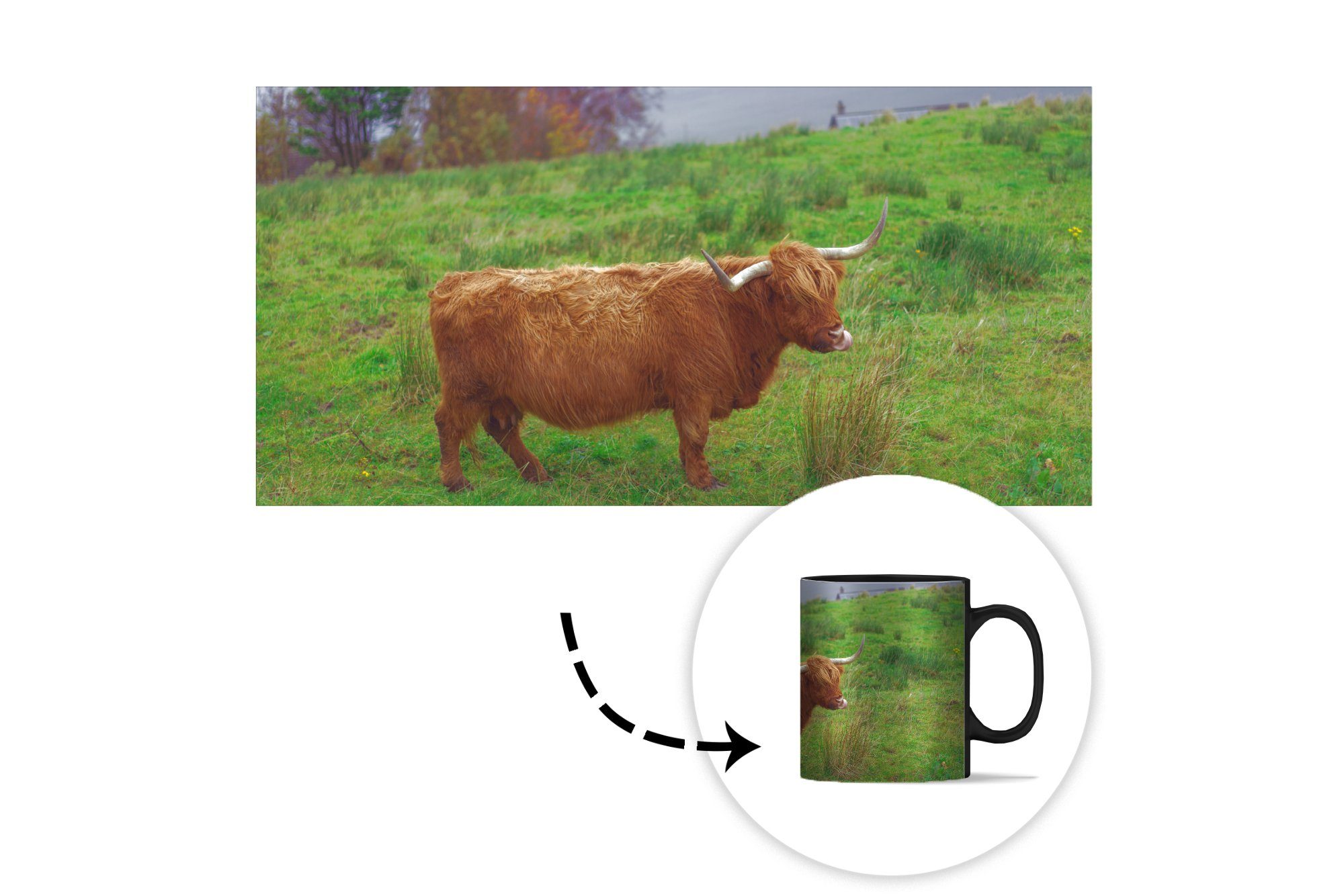 MuchoWow Tasse Gras - Tiere, Teetasse, Kaffeetassen, Schottische Highlander Zaubertasse, Farbwechsel, Wasser Keramik, - - Geschenk
