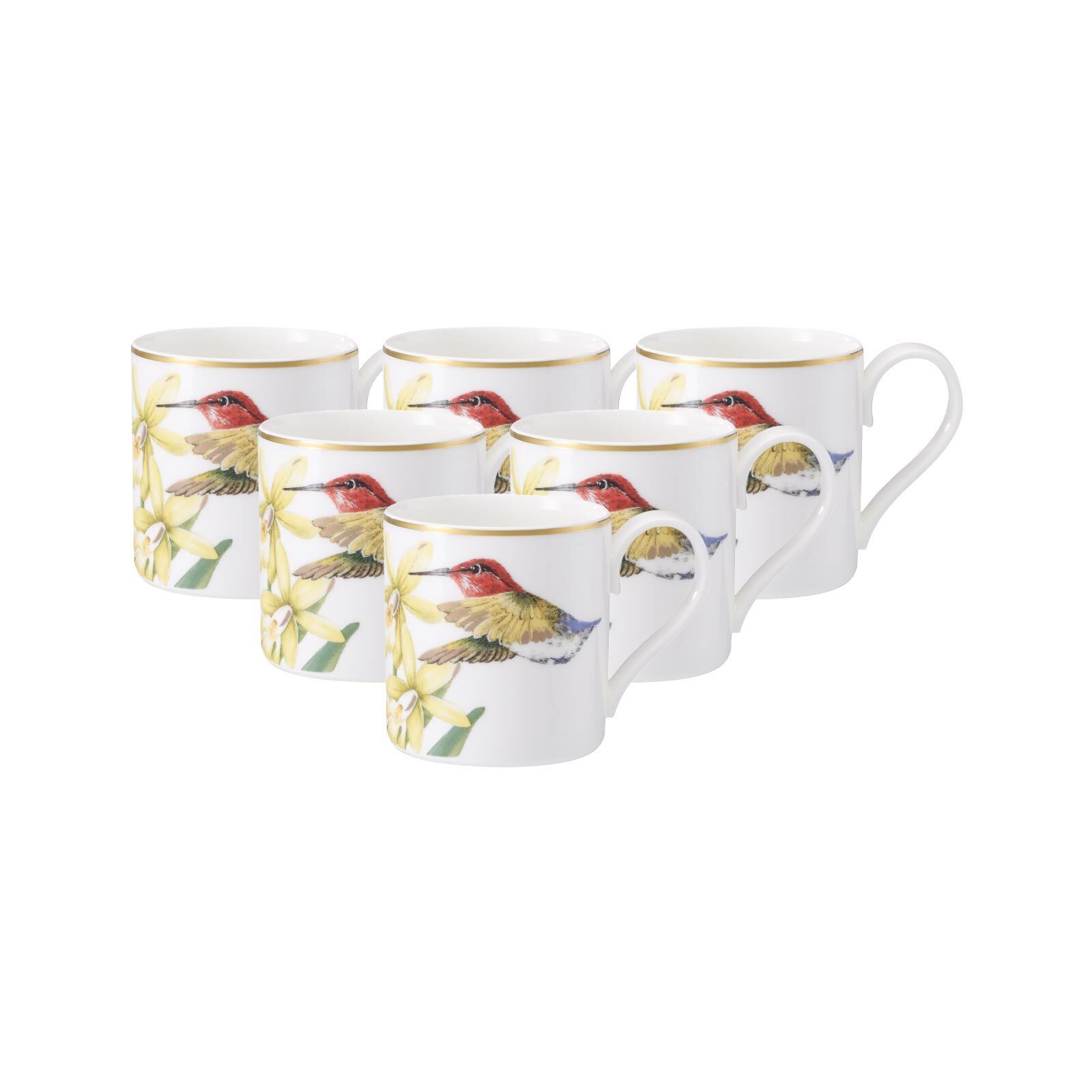 Villeroy & Boch Espressotasse Amazonia Mokka- / Espressotassen 80 ml 6er Set, 6-tlg., Porzellan