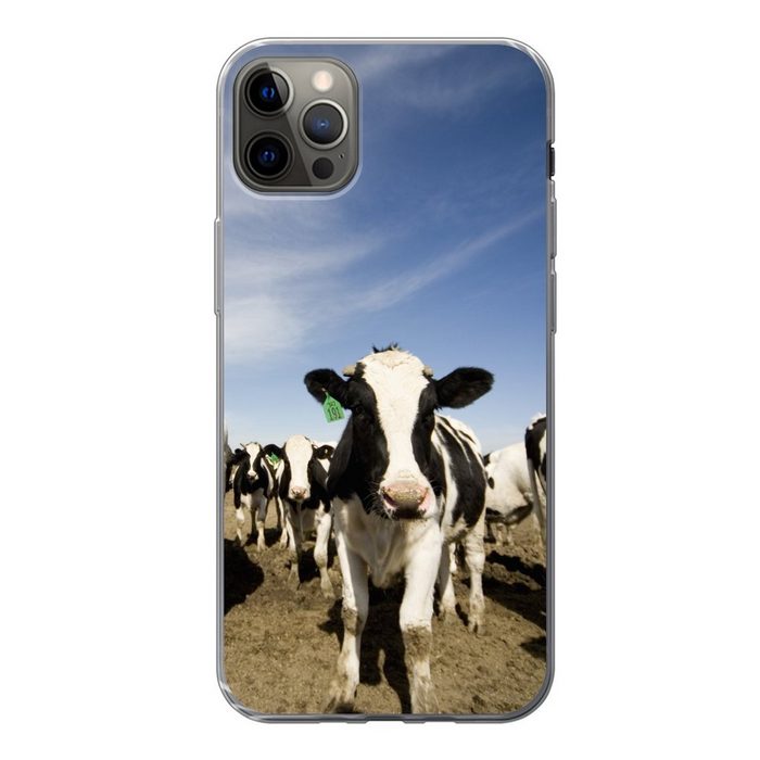 MuchoWow Handyhülle Kuh - Sand - Tiere Handyhülle Apple iPhone 13 Pro Max Smartphone-Bumper Print Handy