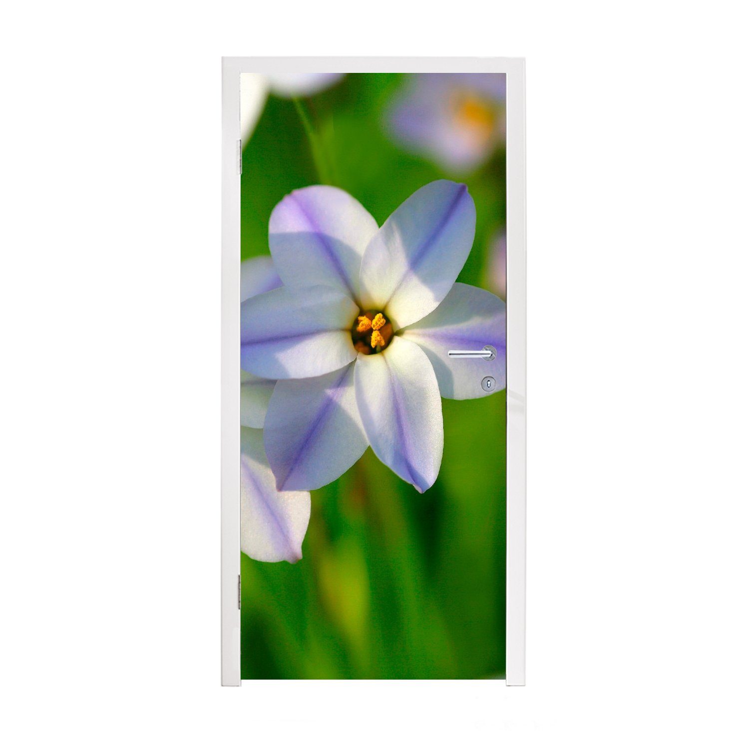 MuchoWow Türtapete Blumen - Garten - Lila, Matt, bedruckt, (1 St), Fototapete für Tür, Türaufkleber, 75x205 cm