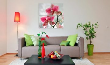 Artgeist Wandbild Ausgefallene Orchidee