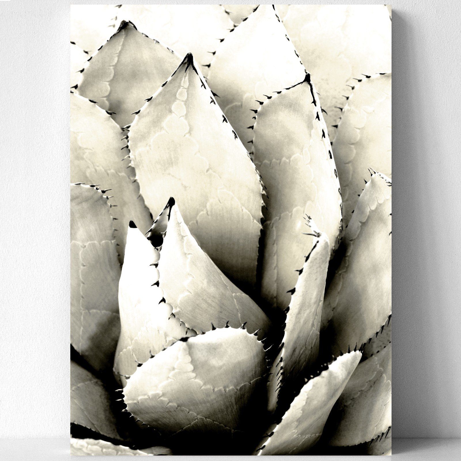 homestyle-accessoires Poster Bilderset Wandbilder Bilder FLOWERS SUCCULENTS BEIGE TÜRKIS 6er SET, - Ohne Bilderrahmen - sorgfältige & sichere Verpackung