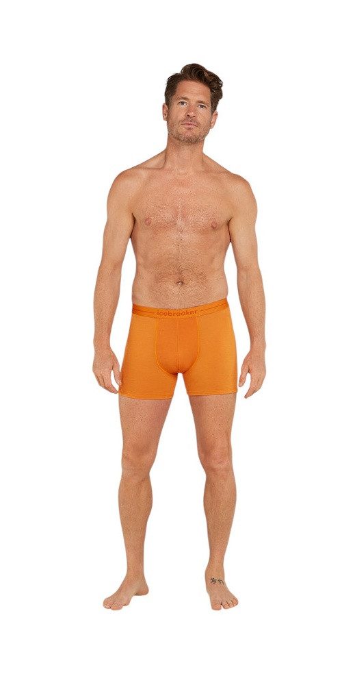 Icebreaker Boxershorts Anatomica (Merinowolle) Unterwäsche gelb Herren