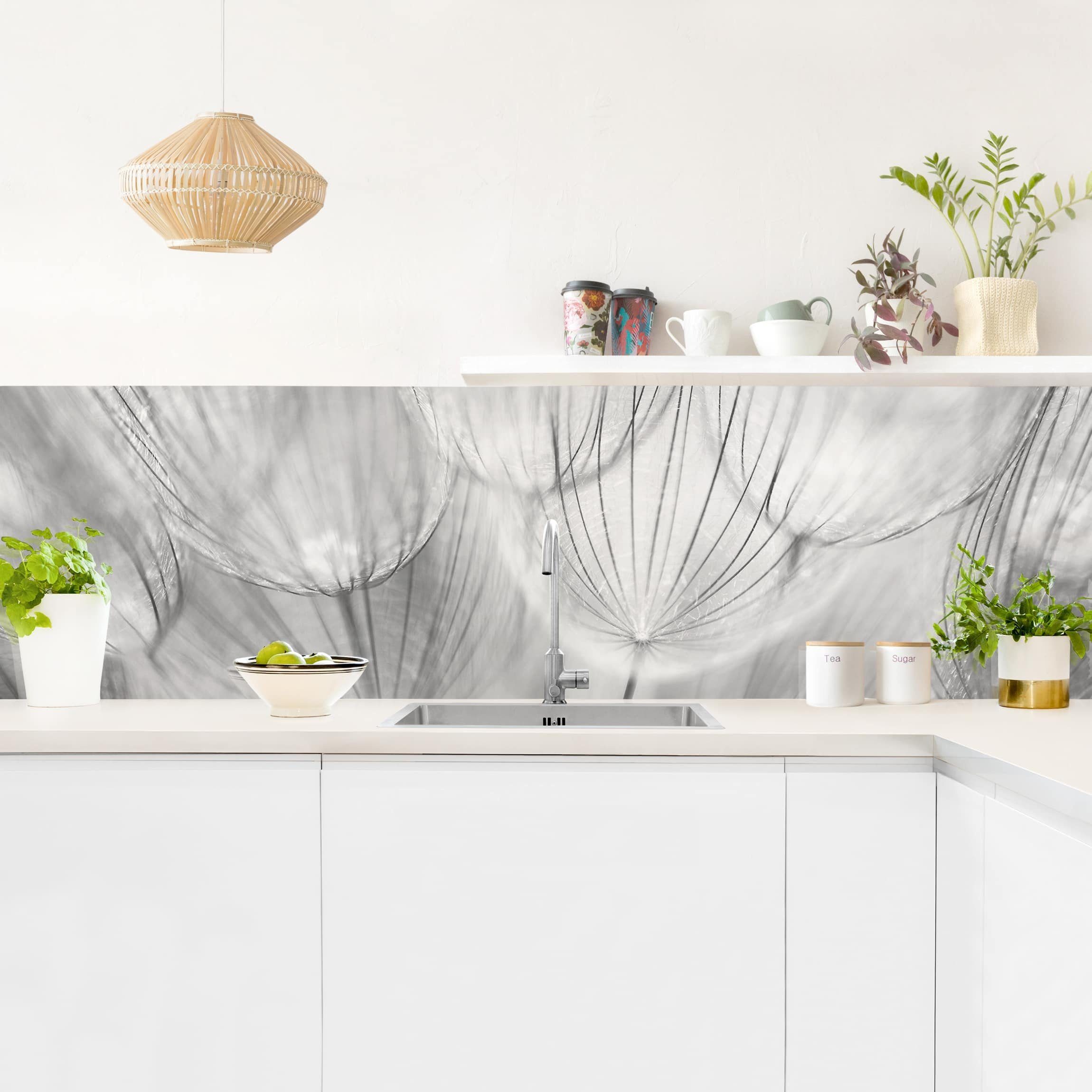 Bilderdepot24 Küchenrückwand schwarz-weiß dekor Blumen Pusteblumen Makroaufnahme in schwarz weiß, (1-tlg., Nischenrückwand - für Fliesenspiegel ohne Bohren - matt), Spritzschutz Rückwand Küche Herd - Folie selbstklebend versch. Größen
