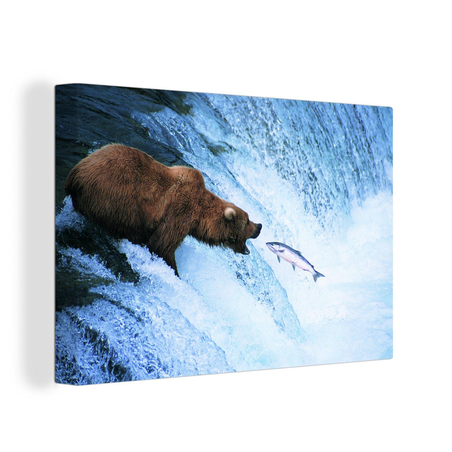 cm Bär Leinwandbild Leinwandbilder, Wasserfall, OneMillionCanvasses® - Wanddeko, Wandbild (1 30x20 Aufhängefertig, - Fisch St),