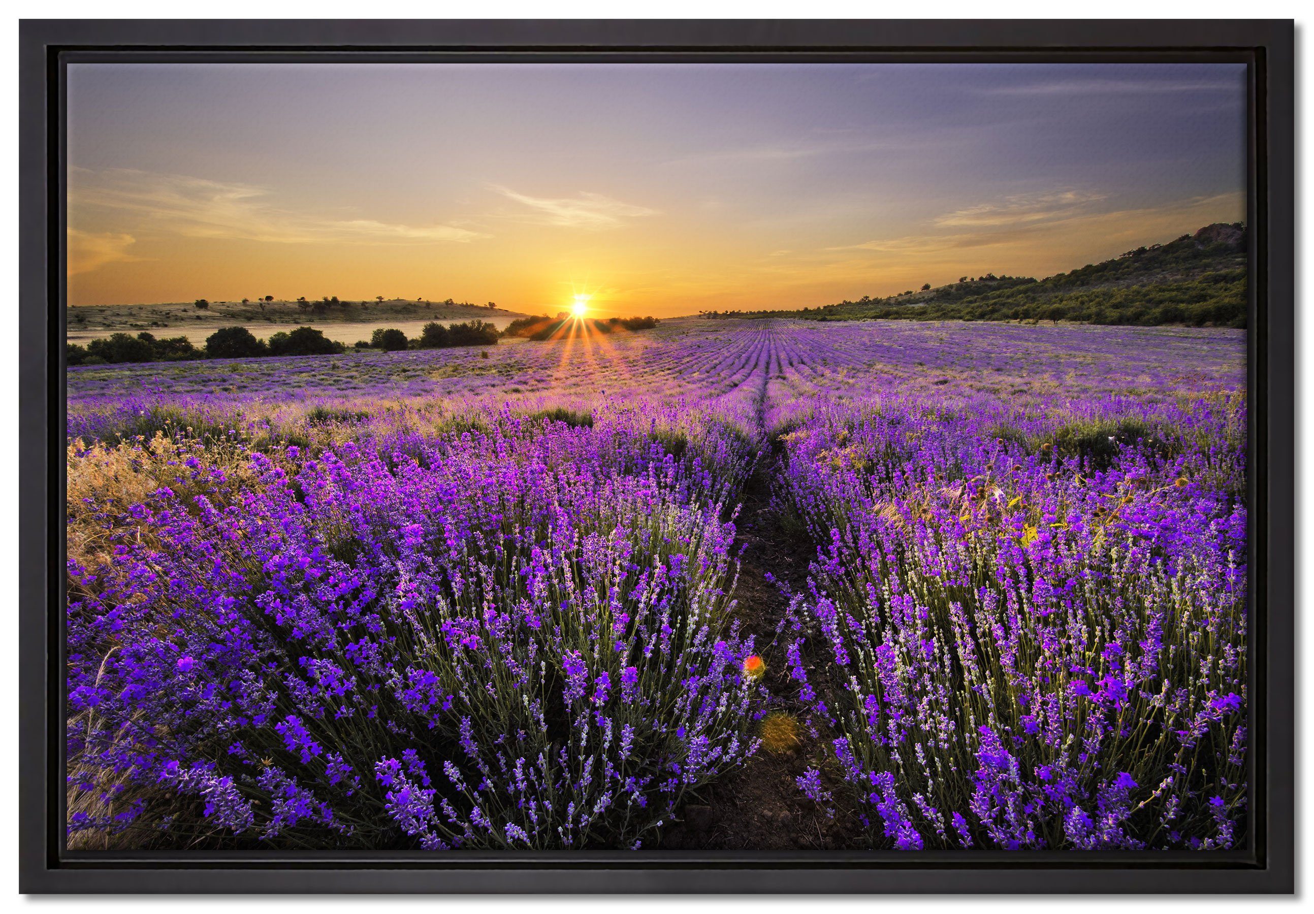 Pixxprint Leinwandbild Lavendelfeld in Frankreich, gefasst, bespannt, einem in (1 inkl. Wanddekoration fertig Schattenfugen-Bilderrahmen Leinwandbild Zackenaufhänger St)