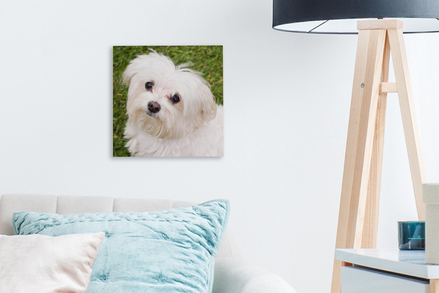 Malteserhund OneMillionCanvasses® auf, Bilder schaut für Leinwand Leinwandbild Schlafzimmer St), Wohnzimmer (1