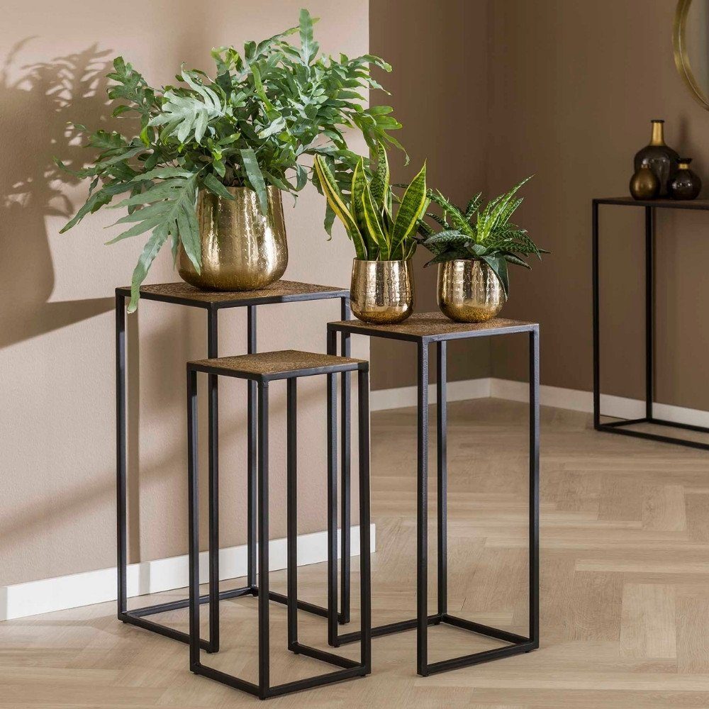 Blumenständer Bronze-matt und in Blumenständer Set, Massivholz Malio 3er RINGO-Living Schwarz-matt Möbel
