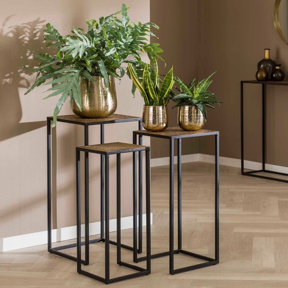 und Blumenständer Massivholz 3er Blumenständer RINGO-Living Möbel, Malio Set, Bronze-matt in RINGO-Living Schwarz-matt