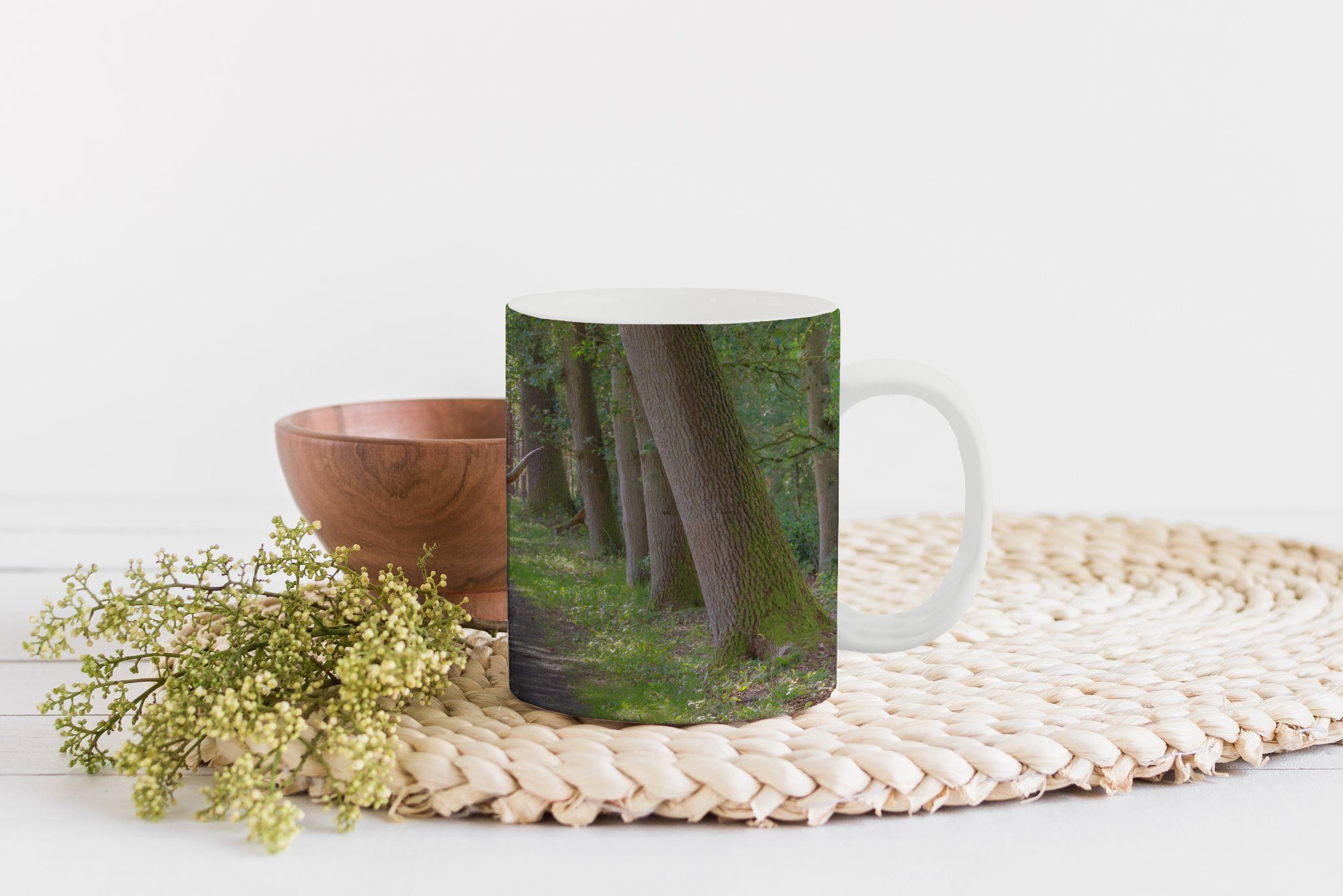 Tasse - Kaffeetassen, Geschenk Baum, Becher, Kröte Teetasse, Highlander - Teetasse, MuchoWow Schottischer Keramik,