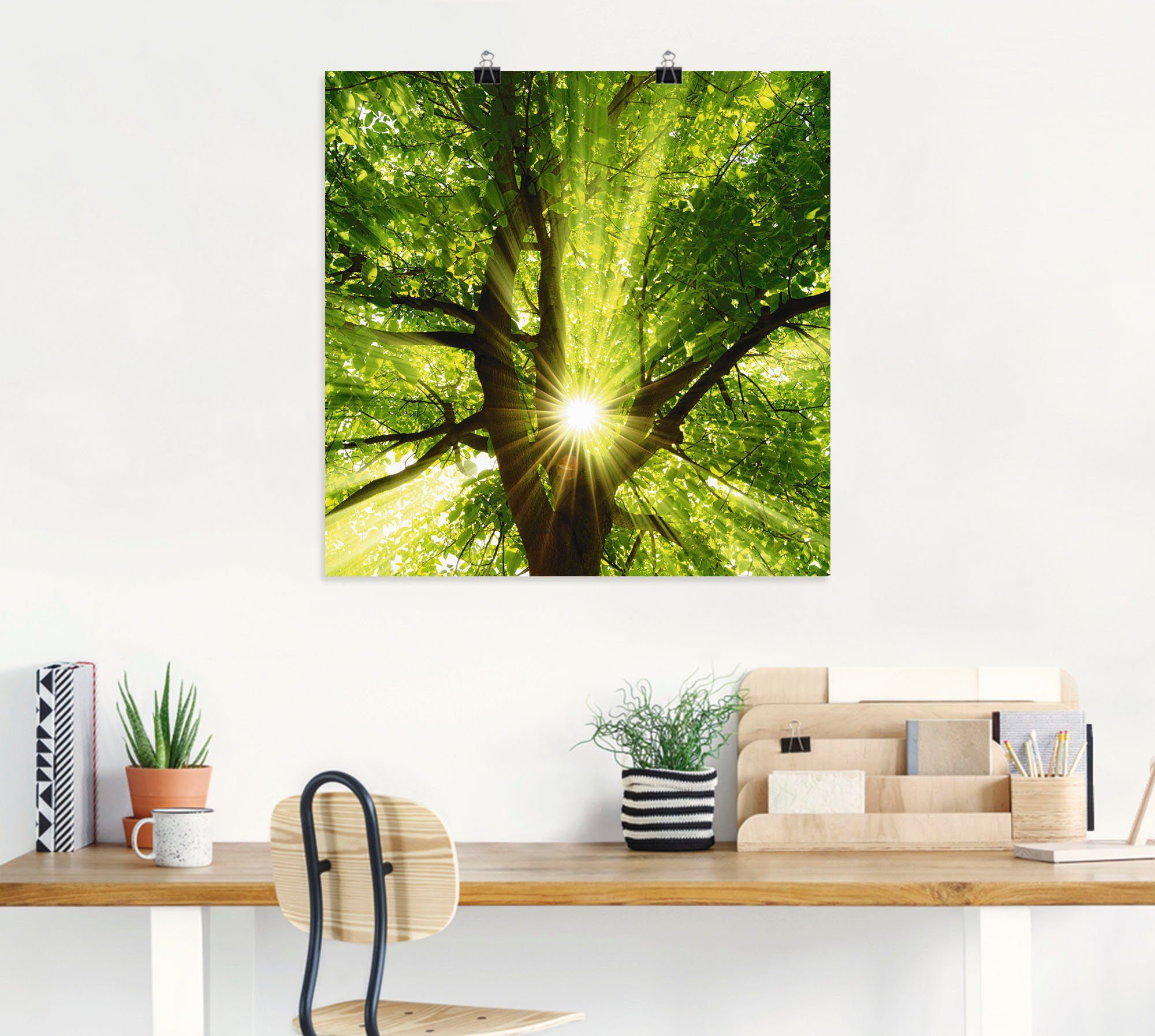 Artland Wandbild Sonne strahlt explosiv durch den Baum, Bäume (1 St), als Leinwandbild, Poster in verschied. Größen