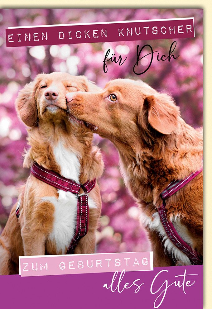 Verlag Dominique Grußkarten Geburtstag - Glückwunschkarte im Format 11,5 x 17 cm - Hunde Knutscher
