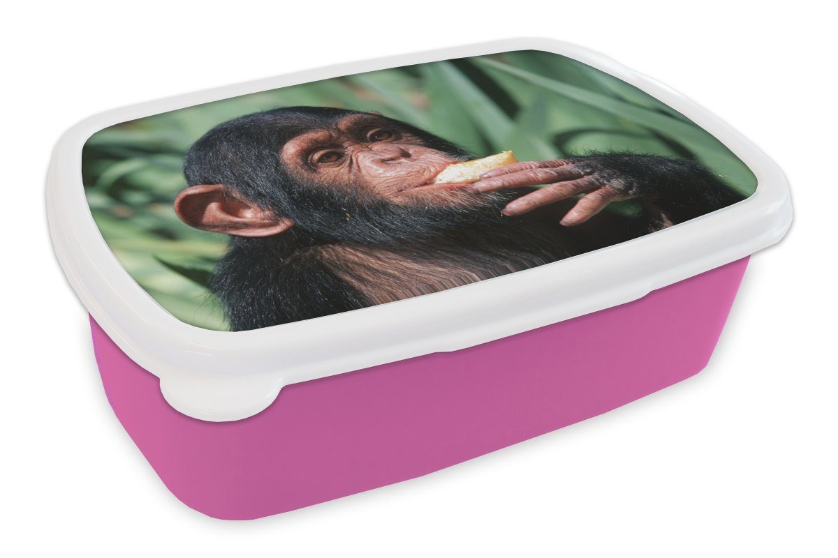 MuchoWow Lunchbox Nahaufnahme essender Schimpansen-Affe, Kunststoff, (2-tlg), Brotbox für Erwachsene, Brotdose Kinder, Snackbox, Mädchen, Kunststoff rosa