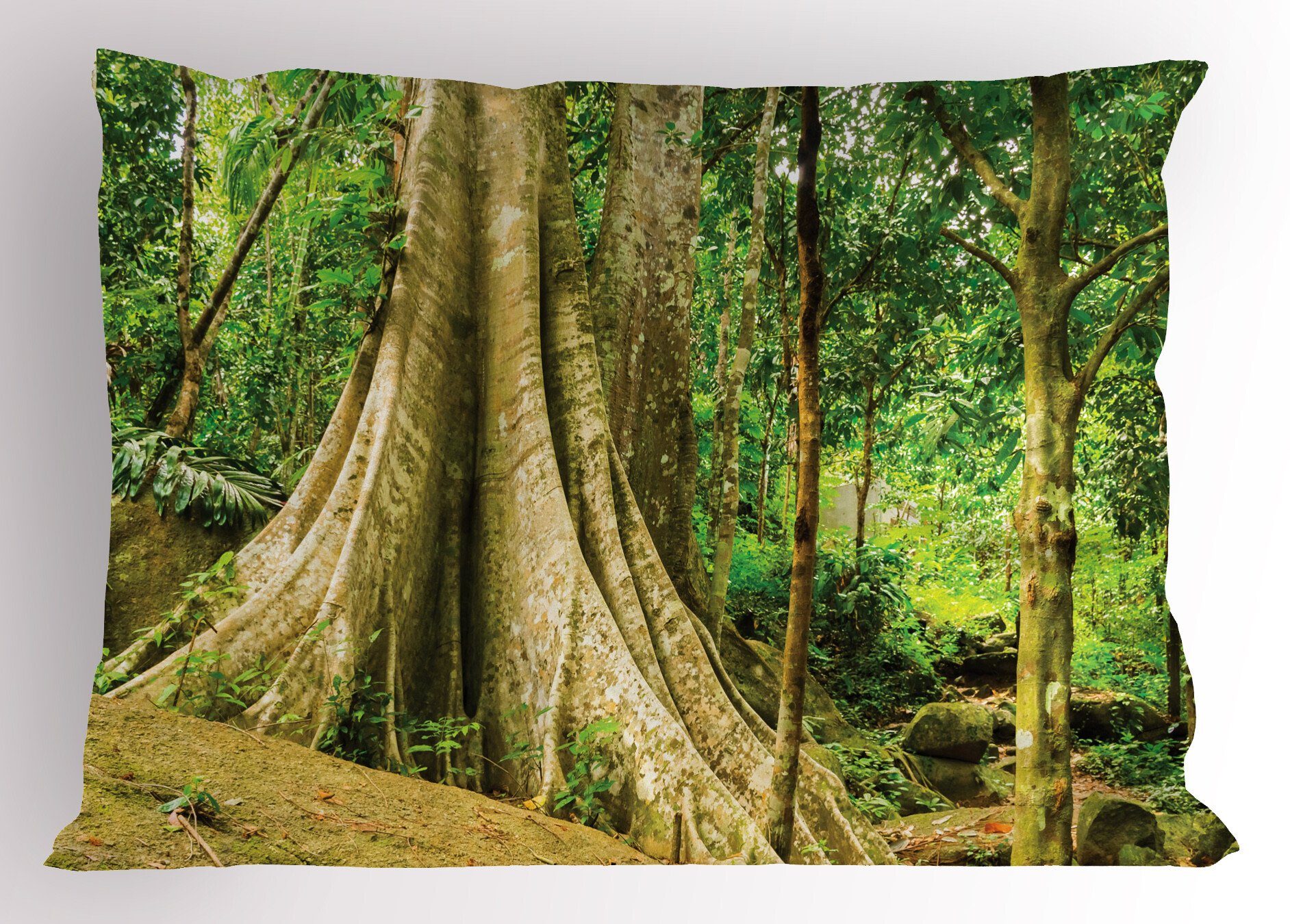 Kissenbezüge Dekorativer Standard King Size Gedruckter Kissenbezug, Abakuhaus (1 Stück), Baum Big Stamm im Wald