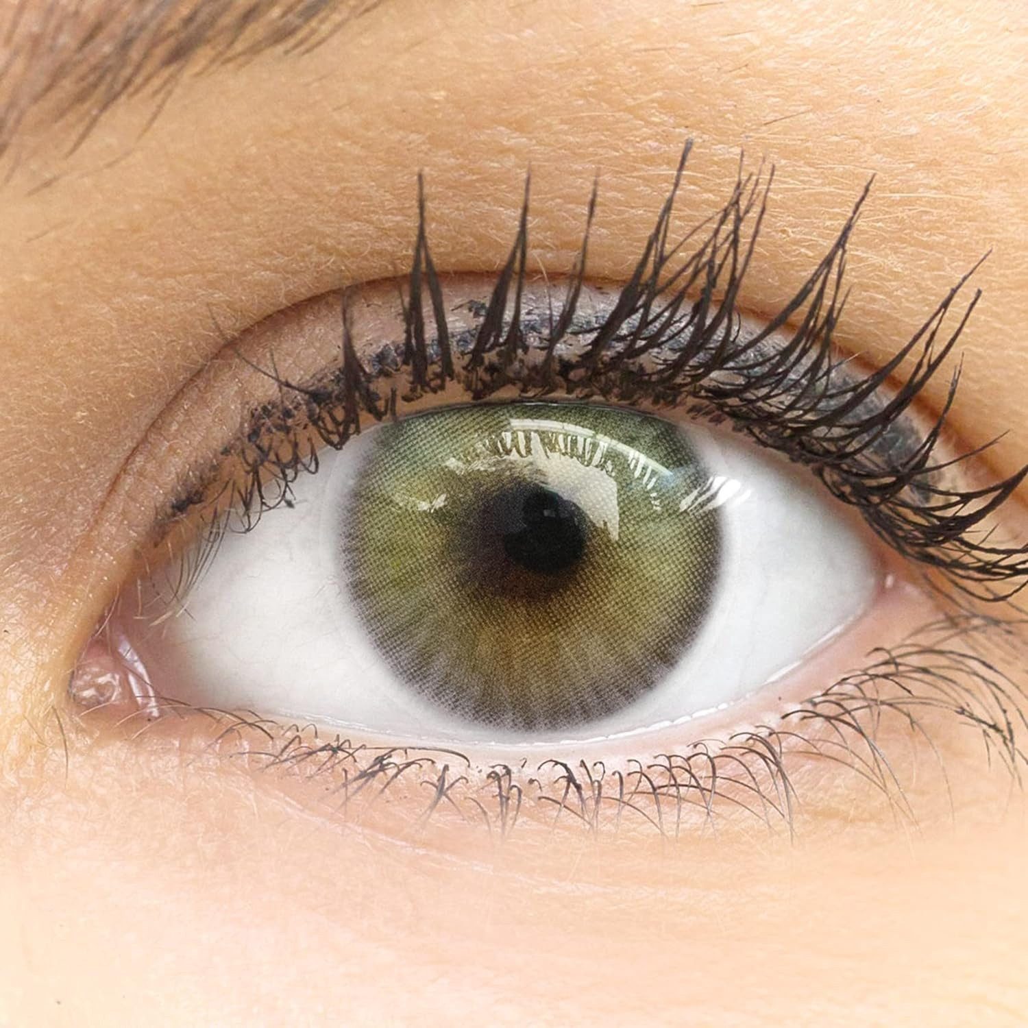 GLAMLENS Monatslinsen Sehr stark deckende und natürliche graue Linsen "Limone Gray"