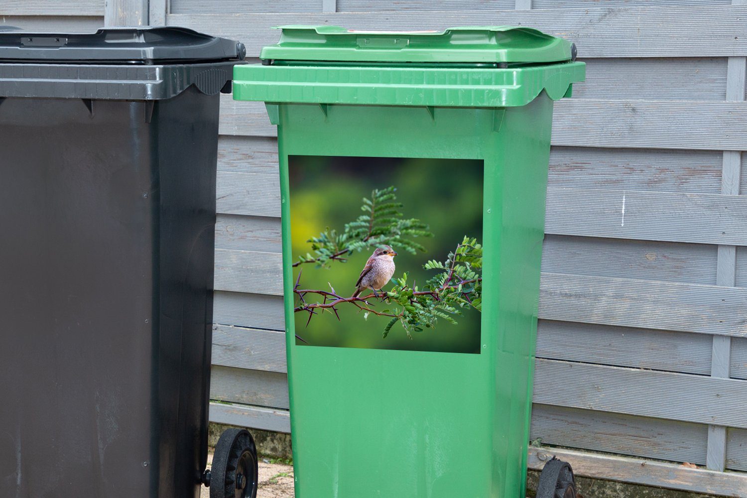 Wald Mülltonne, St), MuchoWow Baum - Wandsticker Sticker, Mülleimer-aufkleber, Vogel Container, Abfalbehälter (1 -