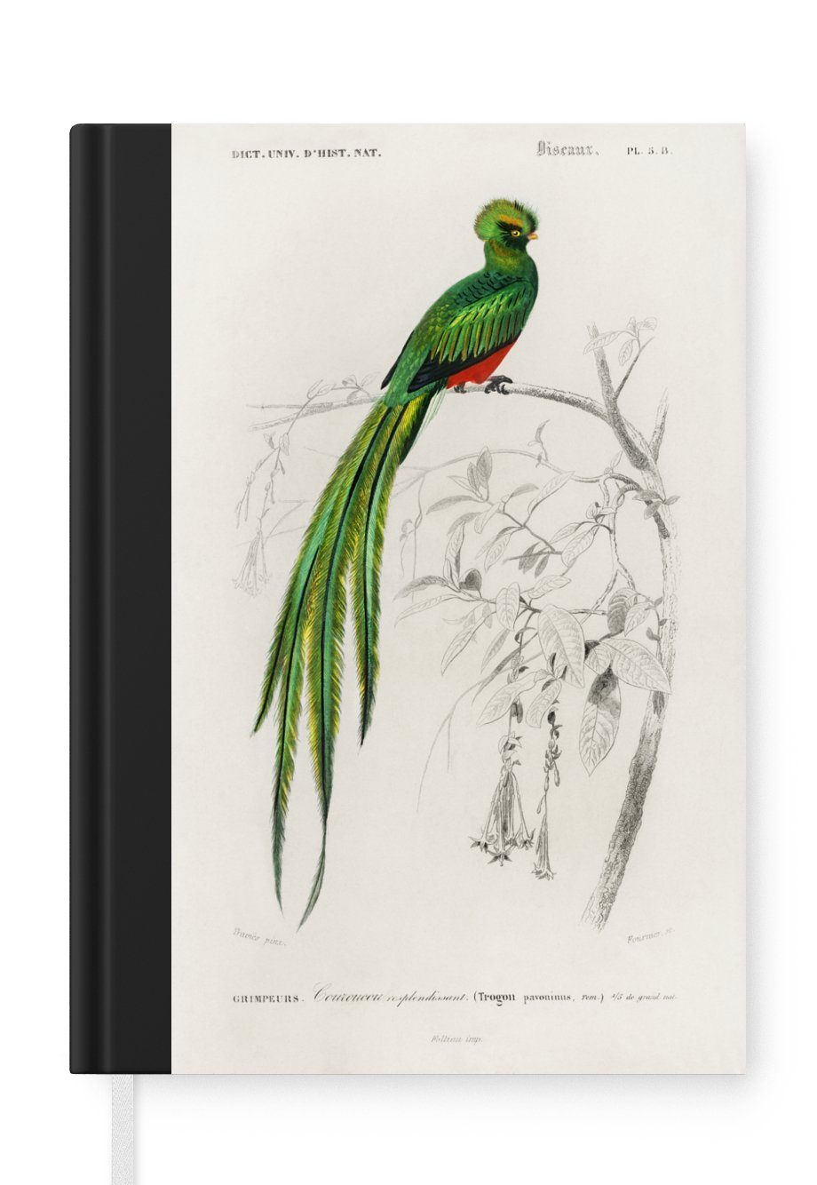 MuchoWow Notizbuch Vogel - Vintage - Zweig, Journal, Merkzettel, Tagebuch, Notizheft, A5, 98 Seiten, Haushaltsbuch | Notizbücher
