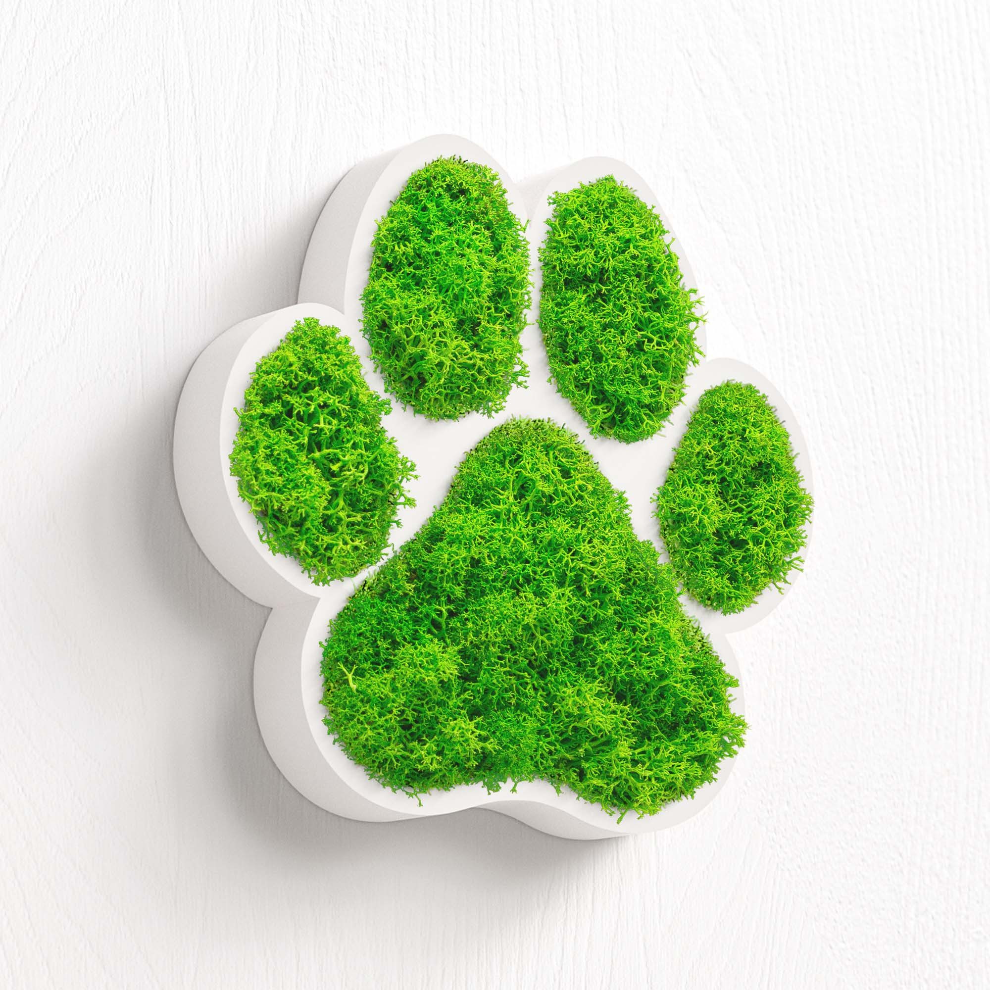 Mooswerk Hinweisschild MOOSWERK Moosbild Tierpfote Türschild für Hunde- & Katzenliebhaber