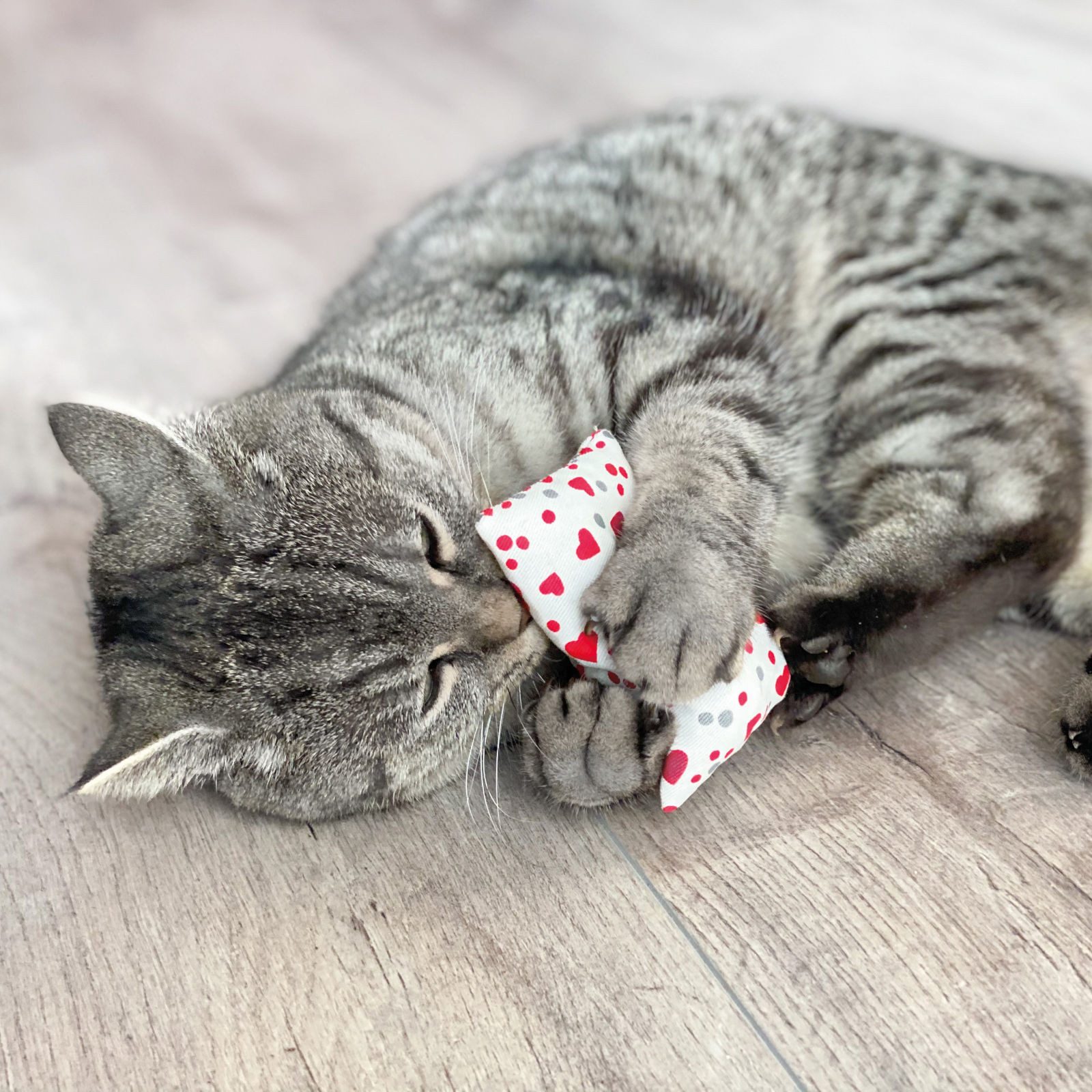 Aumüller Raschelkissen Baldrian Schmusekissen für Katzen, Katzenspielkissen Baldini, 4 Stück