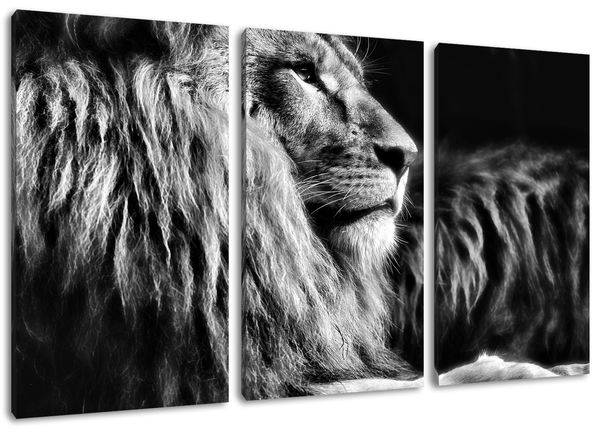 Löwe St), Leinwandbild stolzer bespannt, Pixxprint Leinwandbild stolzer Löwe, (120x80cm) inkl. Majestätischer 3Teiler (1 fertig Majestätischer Zackenaufhänger