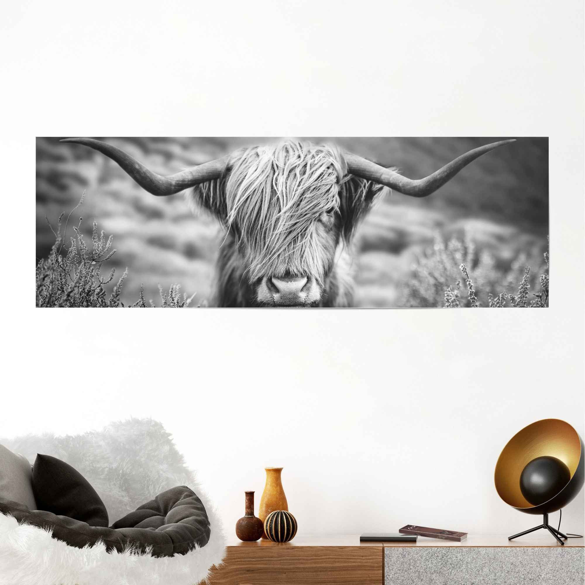 Reinders! Poster (1 Tiermotiv Bulle St) Highlander - Nahaufnahme - Bild, Hochlandrind